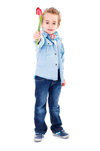 Niedliche kleine Junge bietet eine Tulpe — Stockfoto