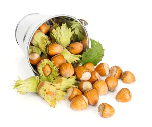 Hazelnuts flowing from tin bucket — Stock Photo, Image