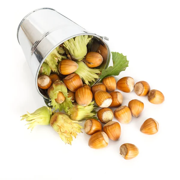 Hazelnuts flowing from tin bucket — Stock Photo, Image