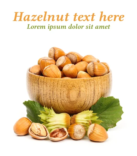 Hazelnuts in wooden pot — Stock Photo, Image