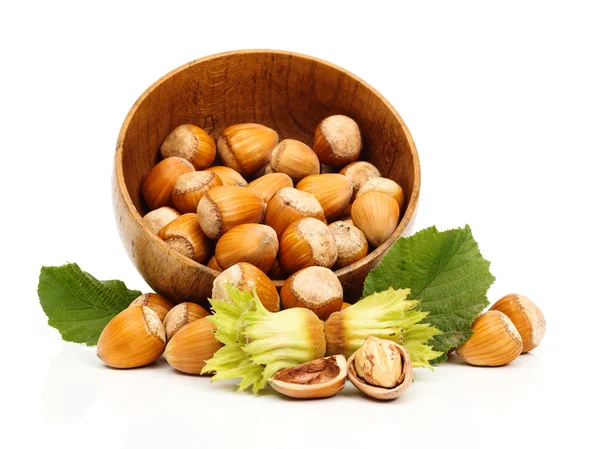 Fresh hazelnuts in wooden pot — Stock Photo, Image