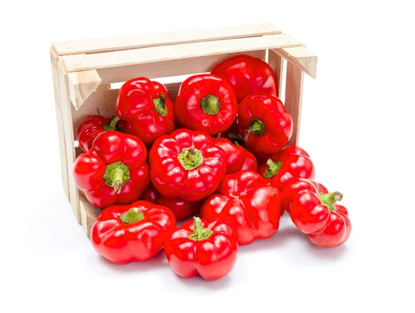 Crate of fresh ripe red paprika — Stock Photo, Image