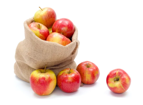 Ripe apples in burlap sack — Stock Photo, Image