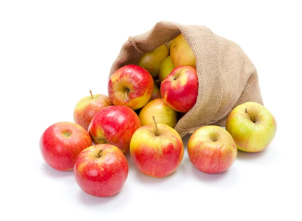 Ripe apples in burlap sack — Stock Photo, Image