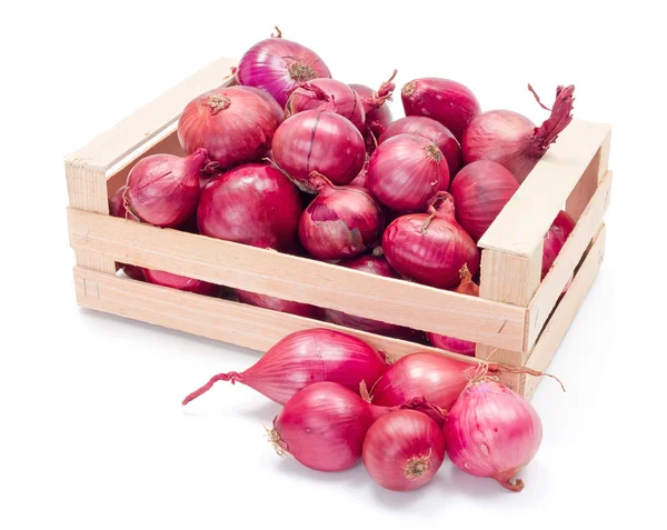 Cebollas rojas en caja de madera — Foto de Stock