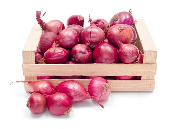 Cebollas rojas en caja de madera — Foto de Stock