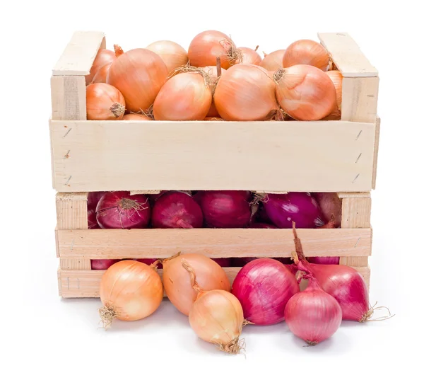 Crates with onions — Stock Photo, Image