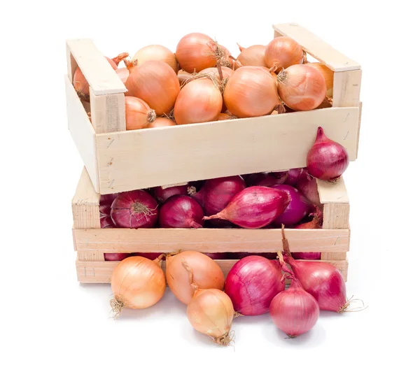 Crates with onions — Stock Photo, Image