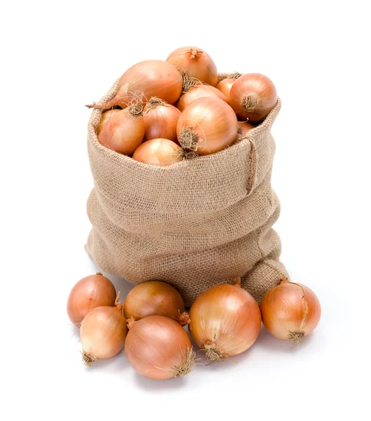 Sack of yellow onions — Stock Photo, Image