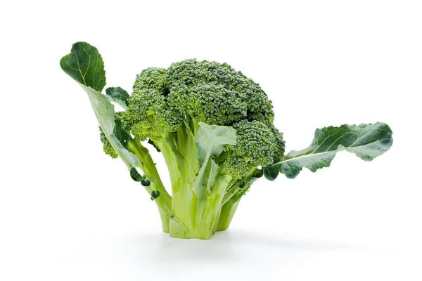 Crop broccoli coapte — Fotografie, imagine de stoc