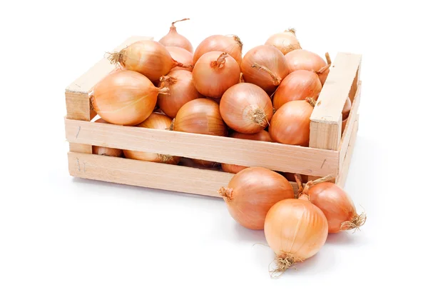 Yellow onions in wooden crate — Stock Photo, Image