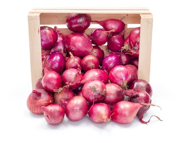 Bombillas de cebolla roja en caja de madera — Foto de Stock