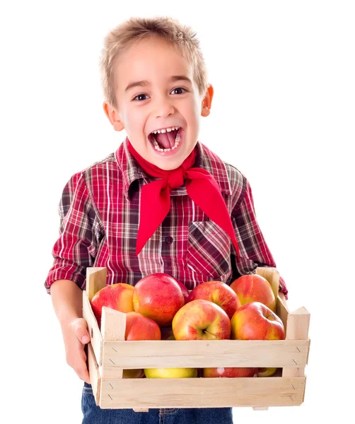 Happy farmer boy holding apples — Stock Photo, Image