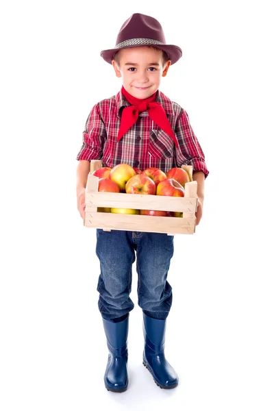 Kleiner Bauernjunge hält Äpfel in Kiste — Stockfoto