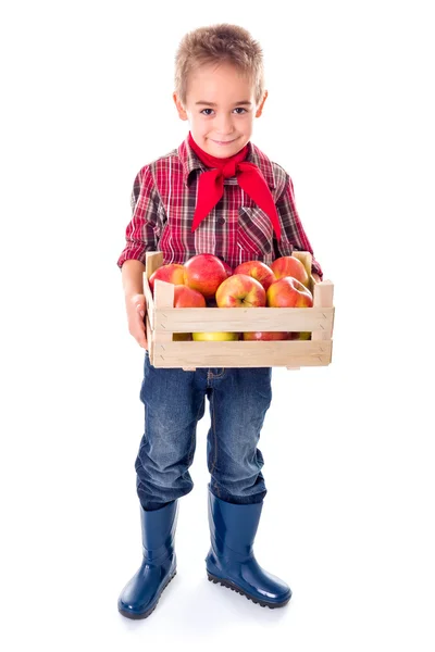 Pequeno agricultor menino segurando maçãs — Fotografia de Stock