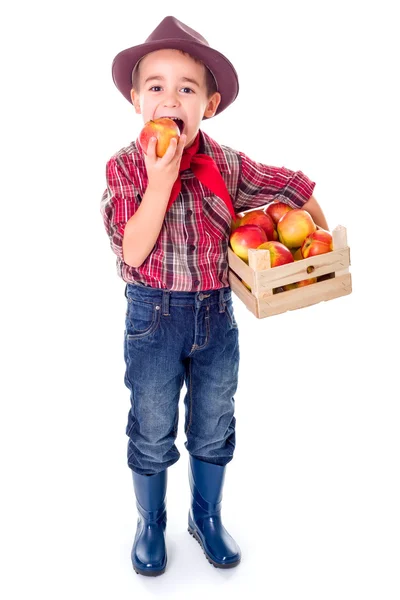 Pequeno agricultor menino degustação maçã fresca — Fotografia de Stock