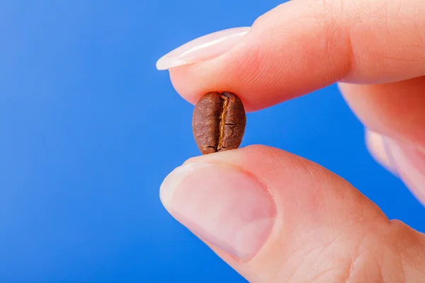 Fechar vista do grão de café realizada entre os dedos — Fotografia de Stock