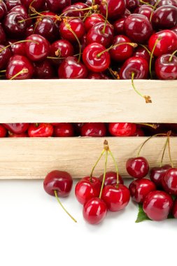 Makro tatlı kiraz (Prunus avium) ahşap sandık