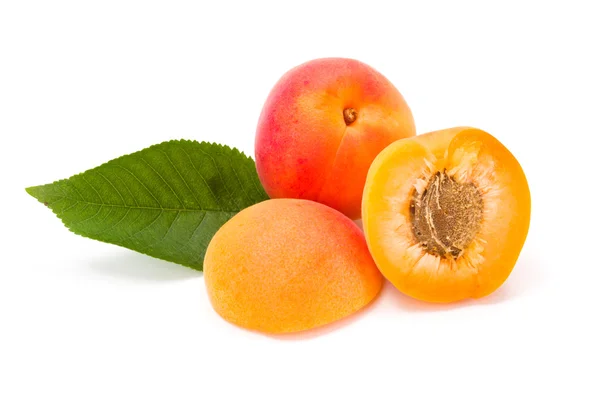 Apricots on white (Prunus armeniaca) — Stock Photo, Image