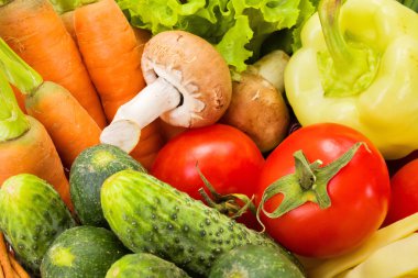 Close view of various summer vegetables