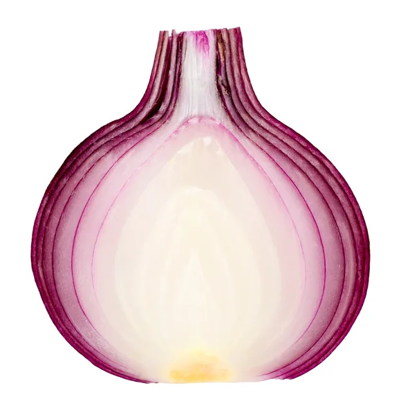 Inner structure of a red onion cut in half — Stock Photo, Image