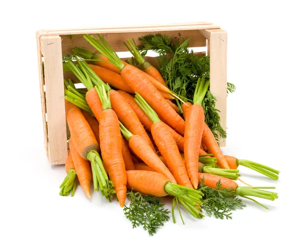 Carrot roots (Daucus carota ssp. sativus) in wooden crate — Stock fotografie