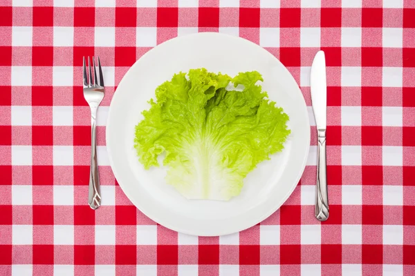 Зелений лист салату на білій тарілці Стокова Картинка