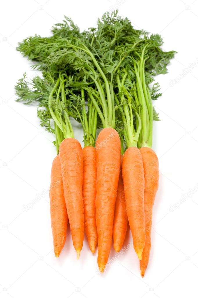 Carrots (Daucus carota ssp. sativus)