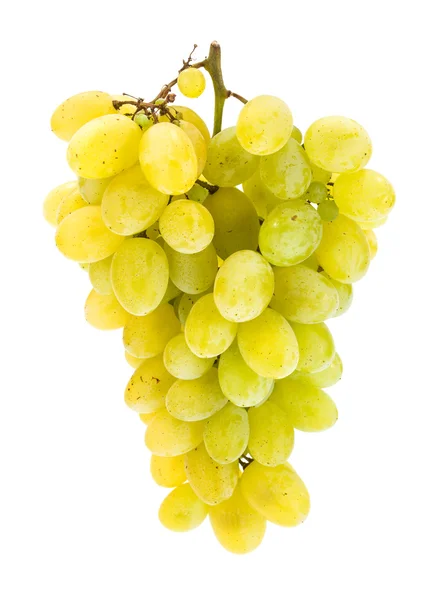Białych winogron klastra — Zdjęcie stockowe