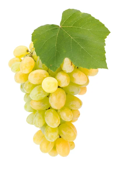 Белое виноградное скопление с листьями — стоковое фото