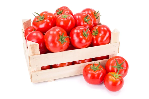 Tomatoes (Solanum lycopersicum) in wooden crate — Stock Photo, Image