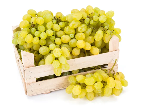 White table grapes (Vitis) in wooden crate — Stock Photo, Image