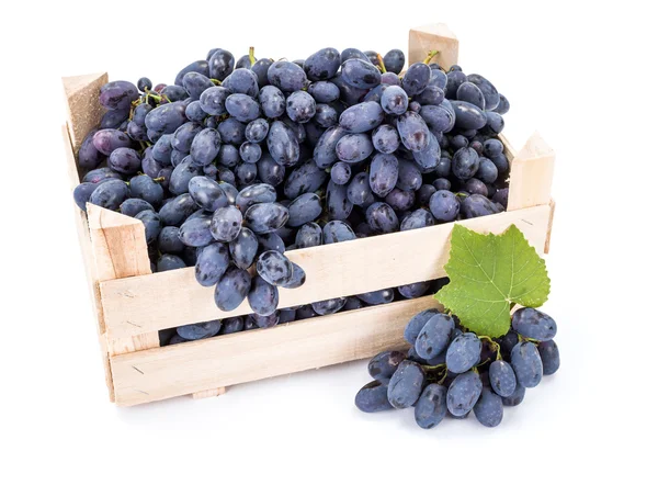 Red table grapes (Vitis) in wooden crate — Stock Photo, Image