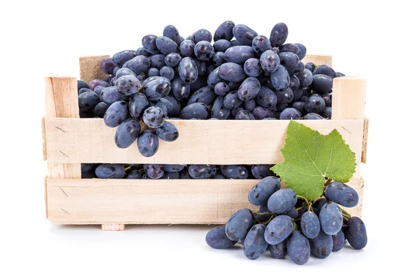 Red table grapes (Vitis) in wooden crate — Stock Photo, Image