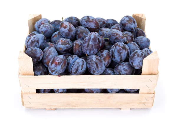 Plums (Prunus) in wooden crate — Stock Photo, Image
