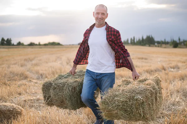 Working farmer man with straw bales — Stock Photo, Image