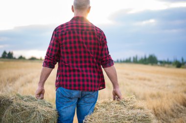 Saman balya çalışma çiftçi adamla