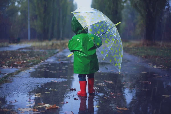 Criança no outono parque chuvoso — Fotografia de Stock