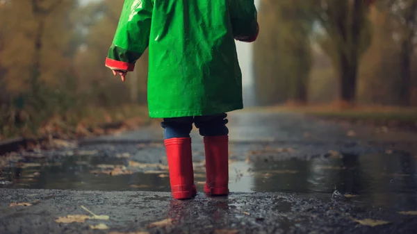 Baby walking in autumn rainy park — Stock Photo, Image