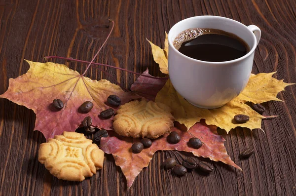 Café e biscoitos de biscoito — Fotografia de Stock