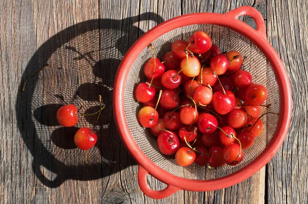 Ciliegie alla luce del sole — Foto Stock