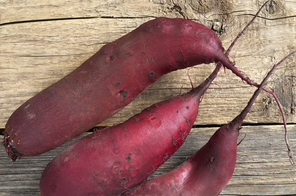 Lange rode beetroots — Stockfoto