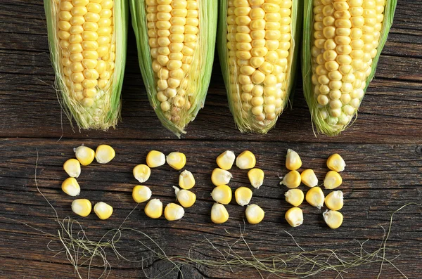Dojrzałe kukurydzy cob i słowo — Zdjęcie stockowe