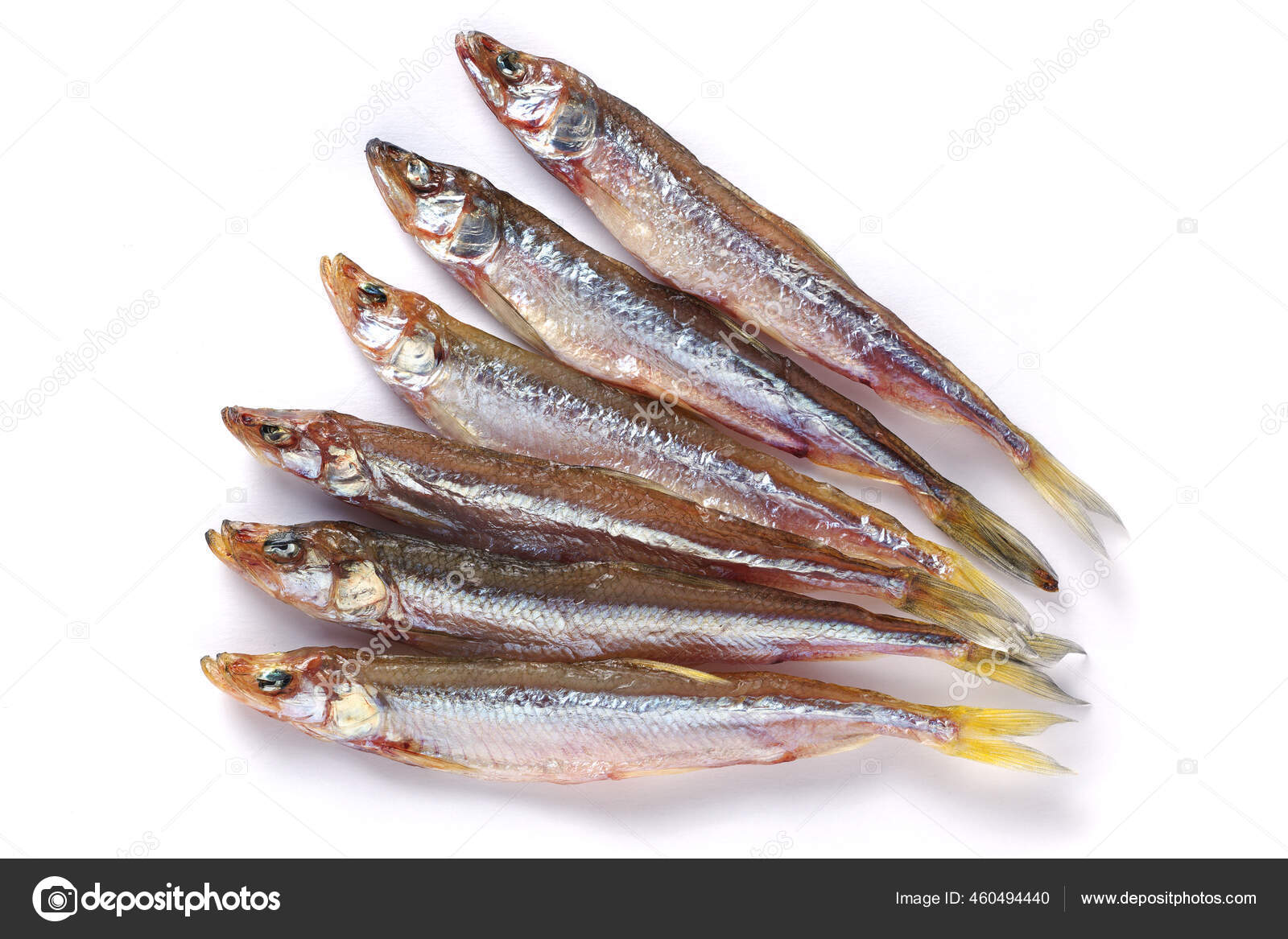 Capelin Fish