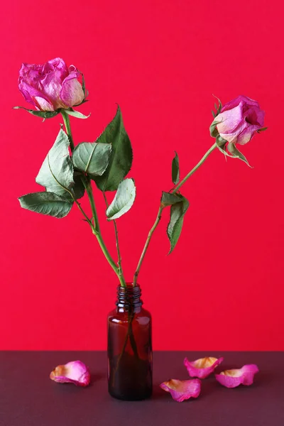 Roze Rozen Met Omgevallen Bloemblaadjes Een Fles Een Bruine Tafel — Stockfoto