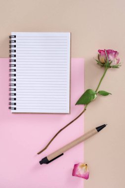 Kalem ve kuru güllü çevre dostu defter iki tonluk arka plan, üst görünüm