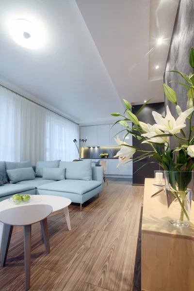 İç - oturma odası 