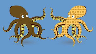 Ahtapot çift. Okyanus karikatürü izole edilmiş heykelcik. EPS10 vektörü.