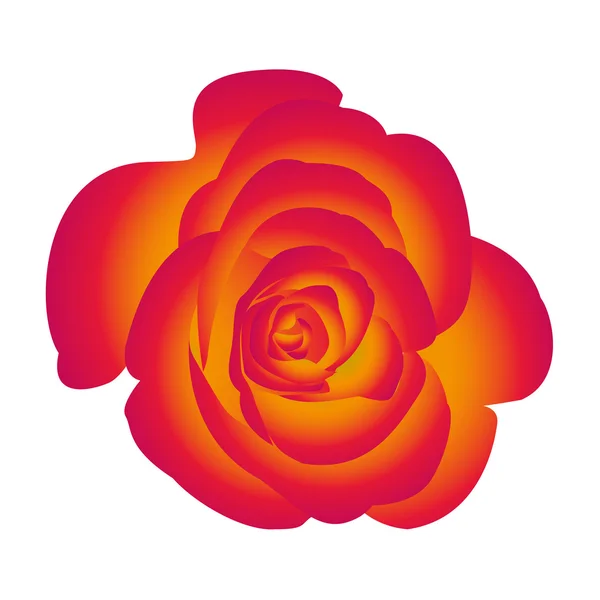 Rosa de flor única . — Vector de stock