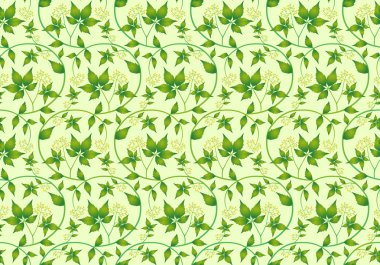 Sorunsuz doku yabani üzüm.